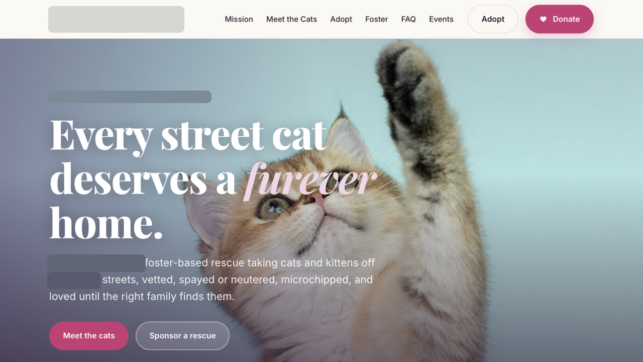 A no-kill cat rescue screenshot