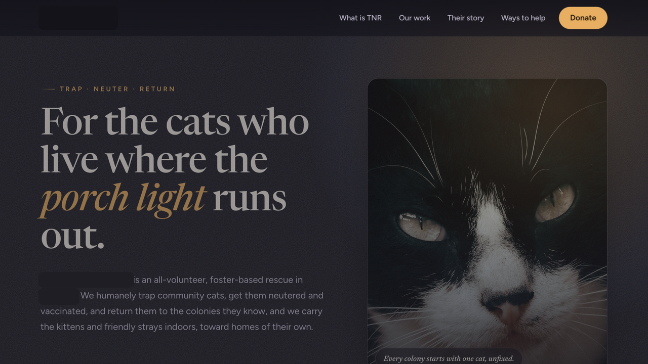A community-cat (TNR) rescue screenshot