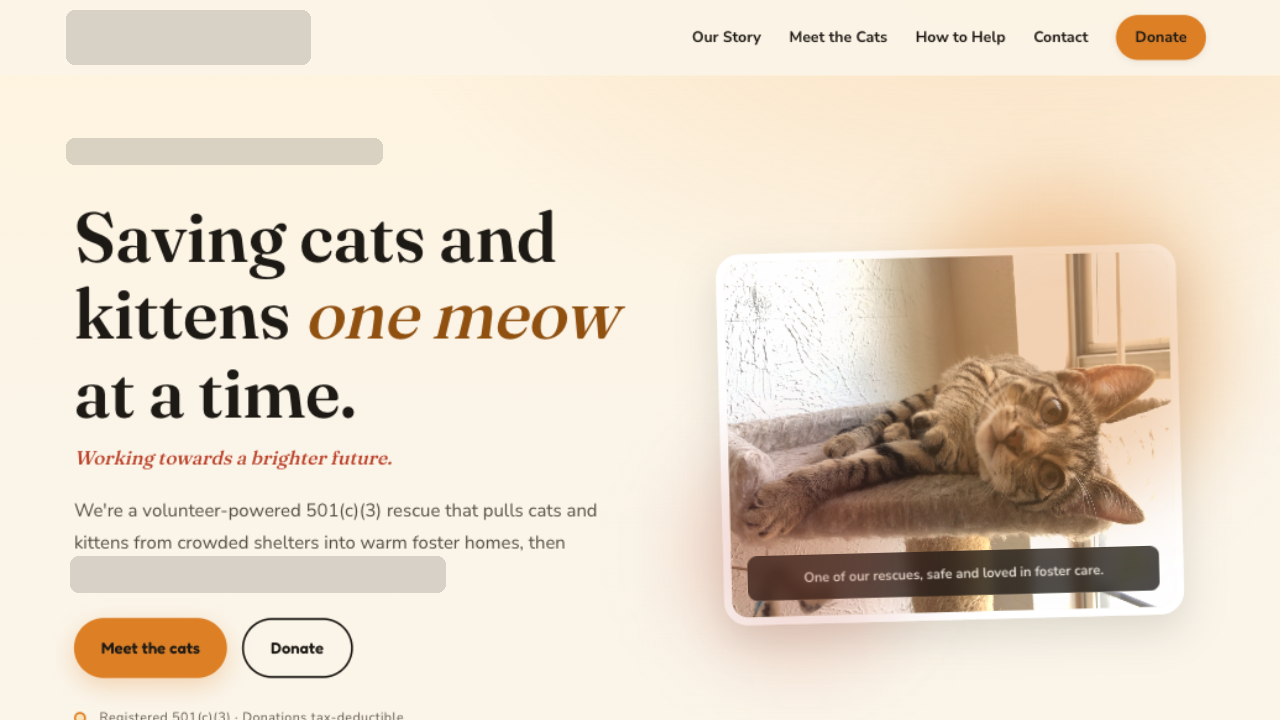 A foster-based cat rescue screenshot